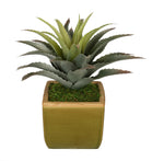 Artificial Star Succulent in Vase - House of Silk Flowers®
 - 2