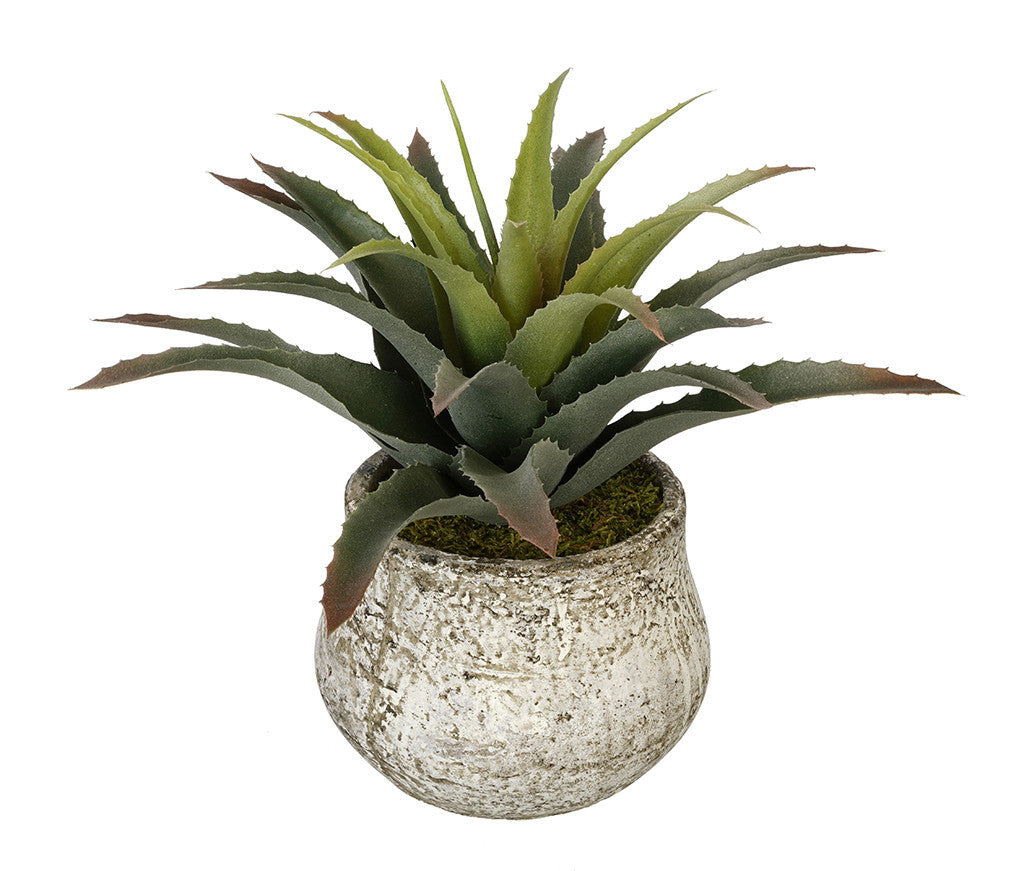 Artificial Star Succulent in Vase - House of Silk Flowers®
 - 3