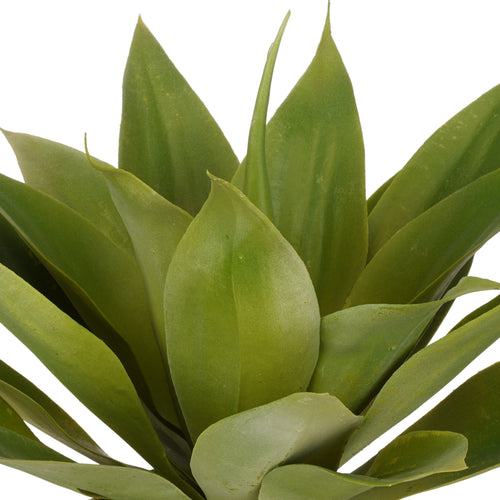 Artificial Agave Succulent