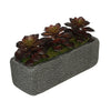 Artificial Echeveria Garden in Sandy-Texture Rectangle House of Silk Flowers®