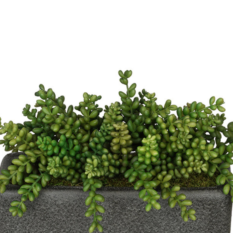 Artificial Sedum Garden in Sandy-Texture Rectangle – House of Silk Flowers®