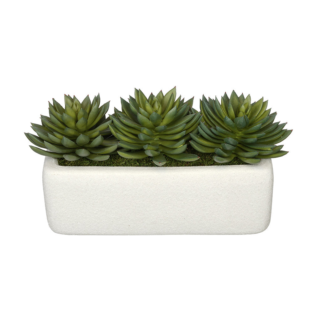 Artificial Pointed Echeveria Garden in Sandy-Texture Rectangle