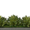 Artificial Pointed Echeveria Garden in Sandy-Texture Rectangle