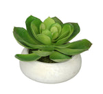 Artificial Echeveria in Washed Bowl Ceramic House of Silk Flowers®