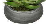Artificial Echeveria in Washed Bowl Ceramic