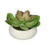Artificial Echeveria in Washed Bowl Ceramic House of Silk Flowers®