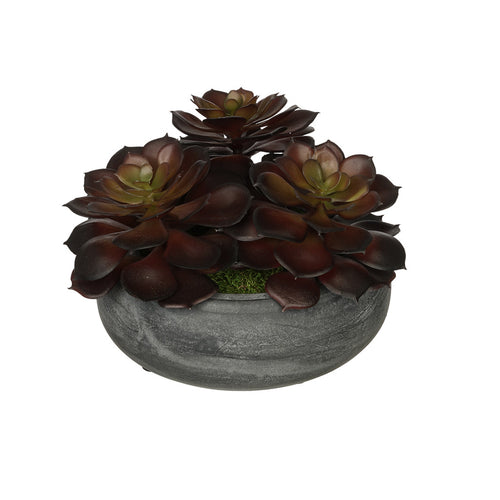 Burgundy Echeveria Garden in Grey-Washed Bowl Ceramic House of Silk Flowers®