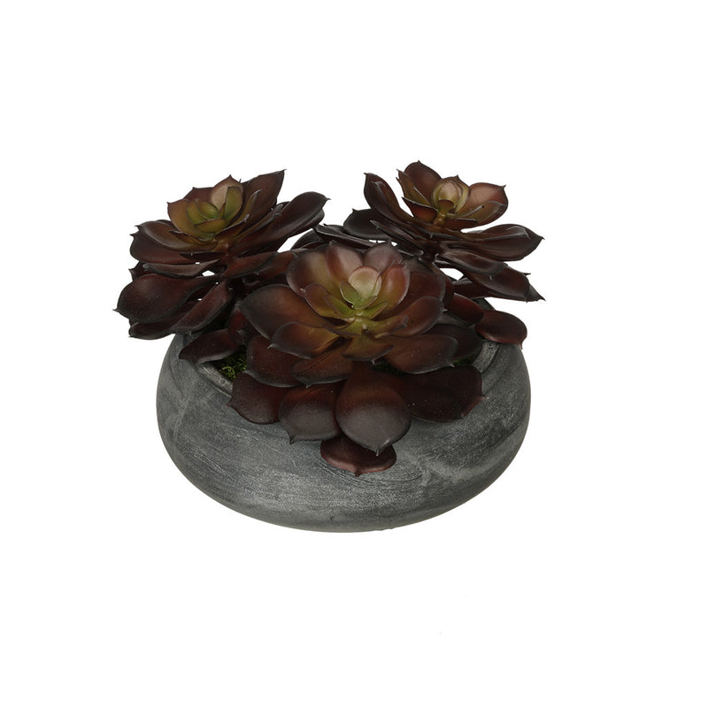 Burgundy Echeveria Garden in Grey-Washed Bowl Ceramic House of Silk Flowers®