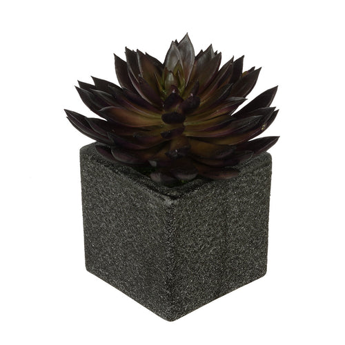 Artificial Pointed Echeveria in Sandy-Texture Cube Ceramic Trio