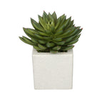 Artificial Pointed Echeveria in Sandy-Texture Cube Ceramic