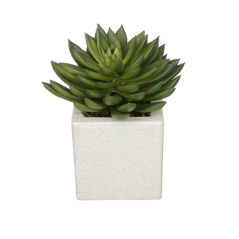 Artificial Pointed Echeveria in Sandy-Texture Cube Ceramic