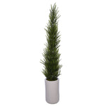 38-Inch Cedar Pencil Topiary in White Cylinder Ceramic Pot House of Silk Flowers®