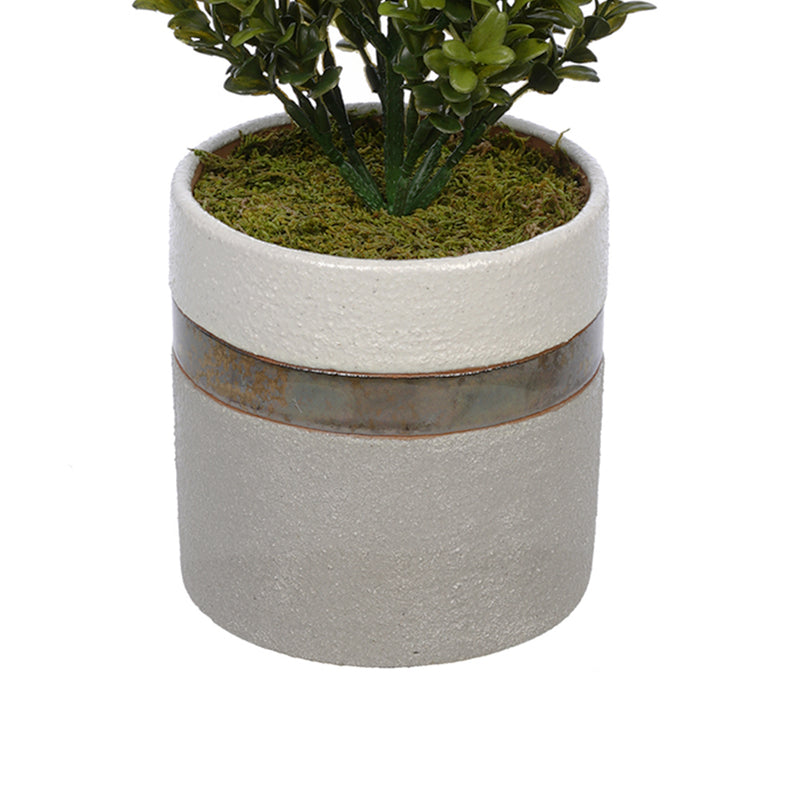 Artificial 22-inch Boxwood Pencil Topiary in Small White/Gold/Grey Ceramic Pot