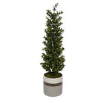 22-inch Boxwood Pencil Topiary in Small White/Gold/Grey Ceramic Pot House of Silk Flowers®