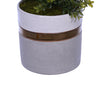 Artificial 34-inch Boxwood Pencil Topiary in Large White/Gold/Grey Ceramic Pot