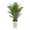 4-1/2 foot Areca Palm in Tall Washed Wood Planter House of Silk Flowers®