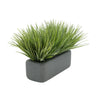 Artificial Frosted Farm Grass in 11" Grey Sandy Texture Ceramic