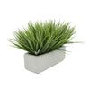 Artificial Frosted Farm Grass in 11" White Sandy Texture Ceramic