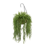 Faux Asparagus Fern Hanging Basket