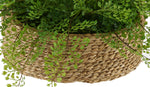 Faux Maidenhair Fern in Seagrass Tray Basket