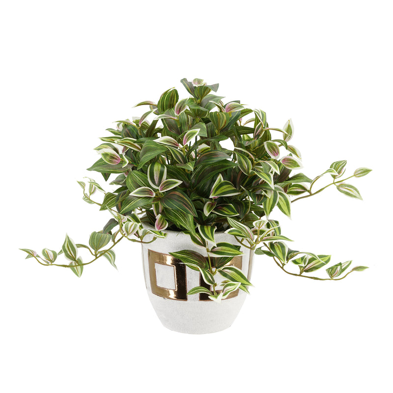 Faux Wandering Jew Plant in Gold/White Ceramic