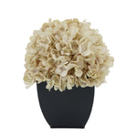 Artificial Antique Ecru Hydrangea in Black Tapered Zinc Cube House of Silk Flowers®
