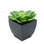 Faux Green Echeveria Succulent in Black Tapered Zinc Pot