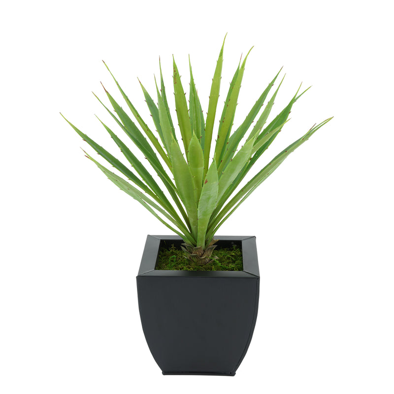 Faux Baby Yucca in Black Tapered Zinc Pot