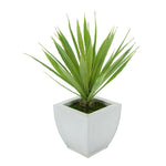 Faux Baby Yucca in Cream Tapered Zinc Pot