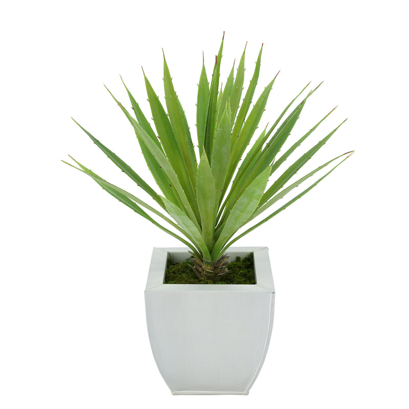 Faux Baby Yucca in Cream Tapered Zinc Pot