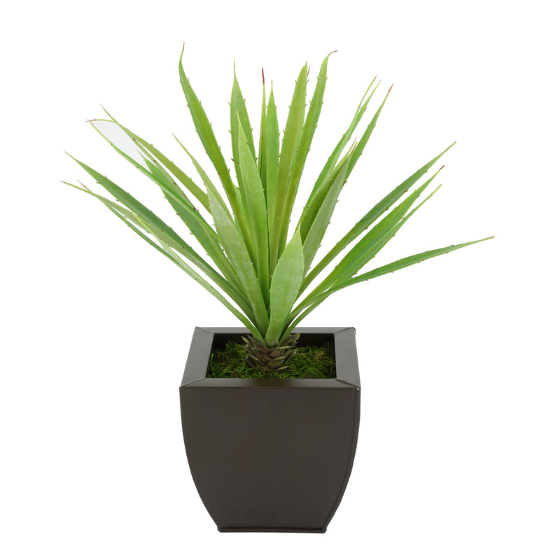 Faux Baby Yucca in Matte Brown Tapered Zinc Pot