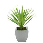 Faux Baby Yucca in Silver Tapered Zinc Pot