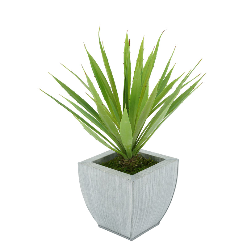 Faux Baby Yucca in Farmhouse Tapered Zinc Pot