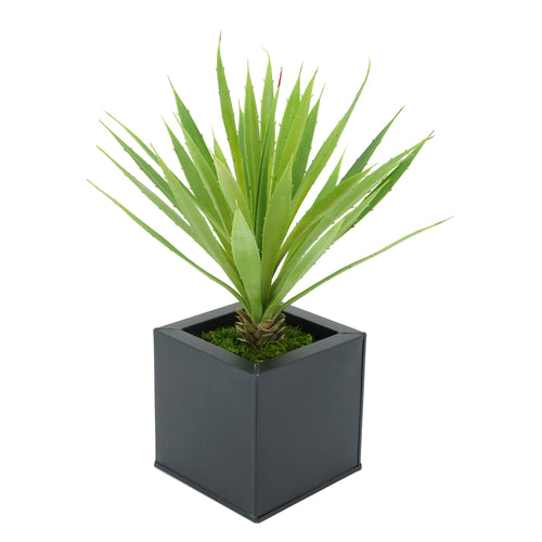 Faux Baby Yucca in Black Square Zinc Pot