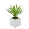 Faux Baby Yucca in Cream Square Zinc Pot
