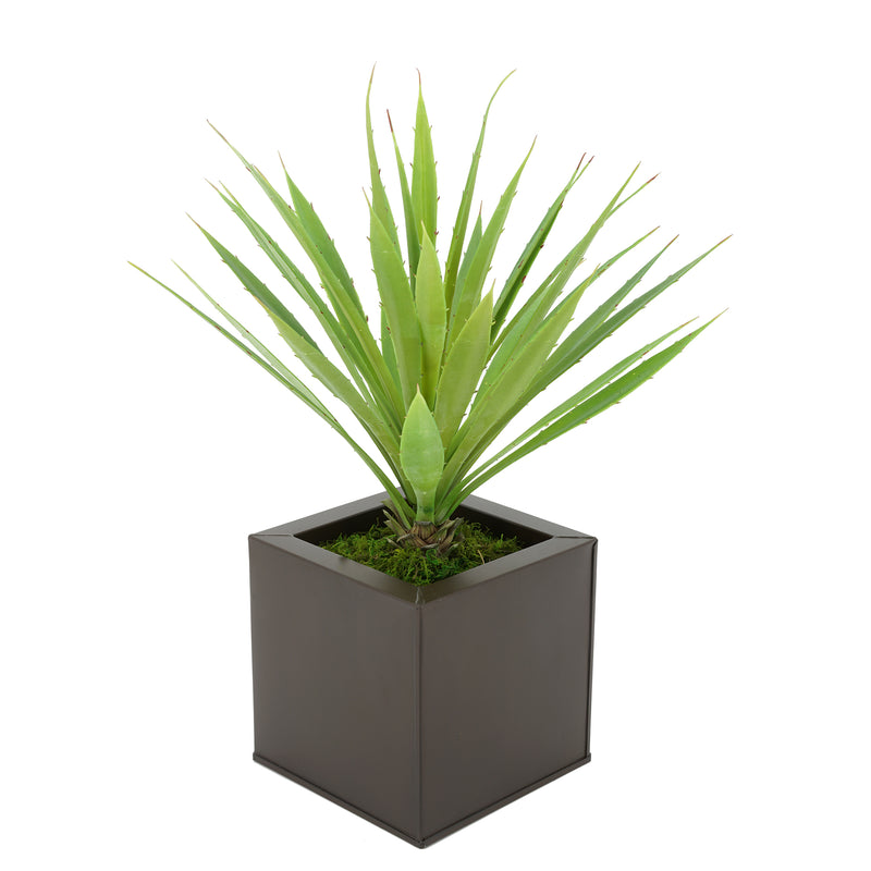 Faux Baby Yucca in Matte Brown Square Zinc Pot