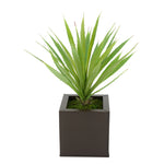 Faux Baby Yucca in Matte brown Square Zinc Pot