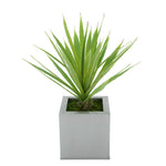 Faux Baby Yucca in Silver Square Zinc Pot