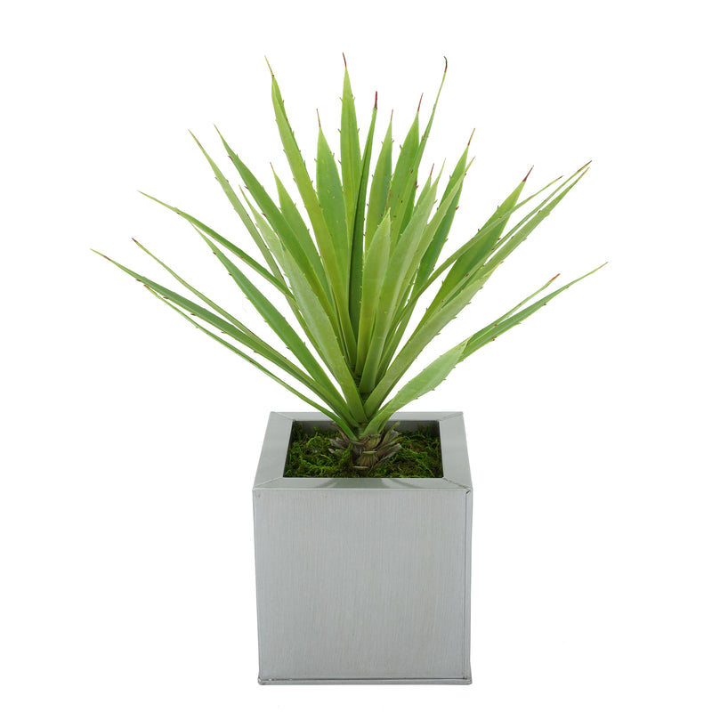 Faux Baby Yucca in Silver Square Zinc Pot