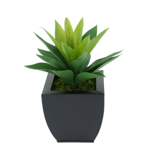 Faux Frosted Light Green Succulent in Black Tapered Zinc Pot