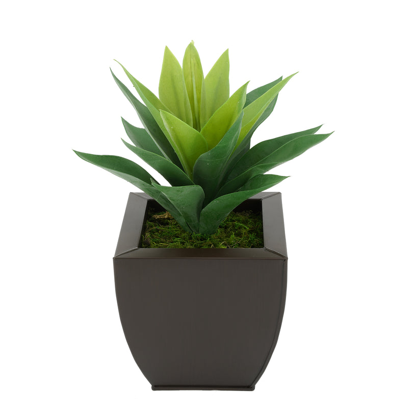 Faux Frosted Light Green Succulent in Matte Brown Tapered Zinc Pot