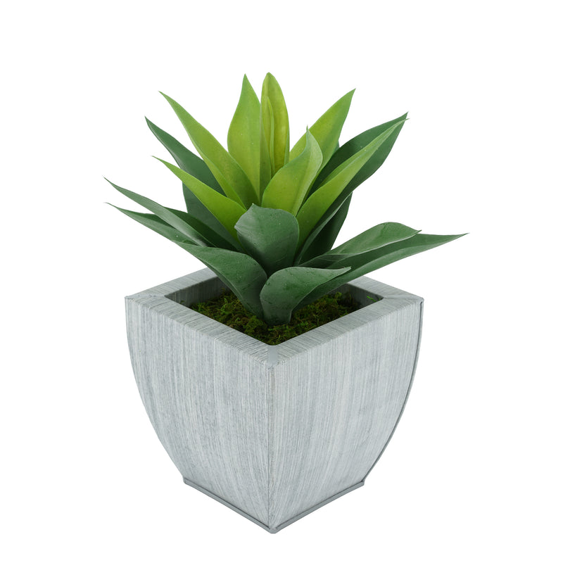 Faux Frosted Light Green Succulent in Farmhouse Tapered Zinc Pot