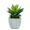 Faux Frosted Light Green Succulent in Farmhouse Tapered Zinc Pot