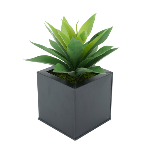 Faux Frosted Light Green Succulent in Black Square Zinc Pot