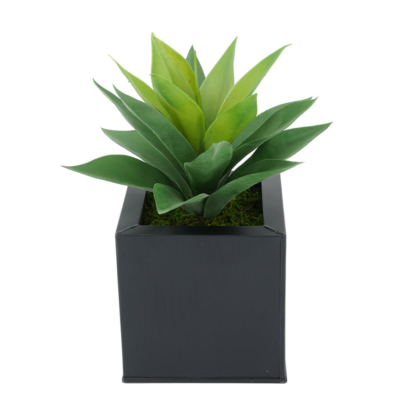 Faux Frosted Light Green Succulent in Black Square Zinc Pot