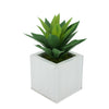 Faux Frosted Light Green Succulent in Cream Square Zinc Pot