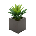 Faux Frosted Light Green Succulent in Matte Brown Square Zinc Pot