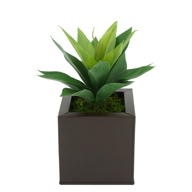 Faux Frosted Light Green Succulent in Matte Brown Square Zinc Pot