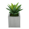 Faux Frosted Light Green Succulent in Silver Square Zinc Pot