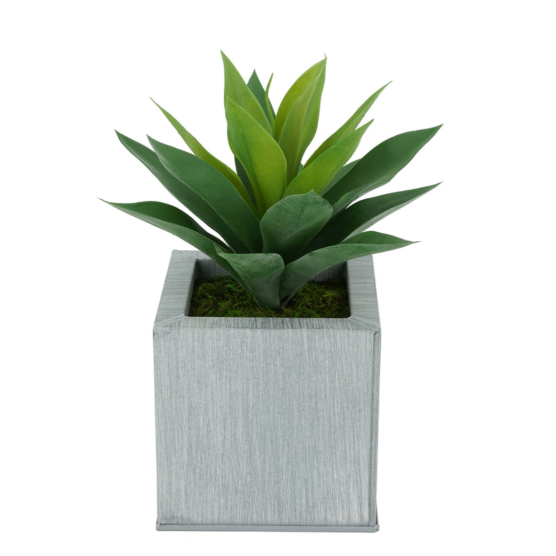 Faux Frosted Light Green Succulent in Farmhouse Square Zinc Pot